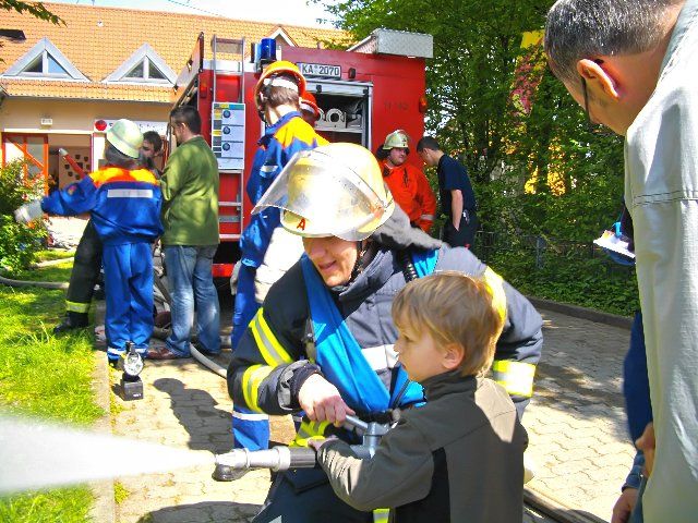 Bild 310